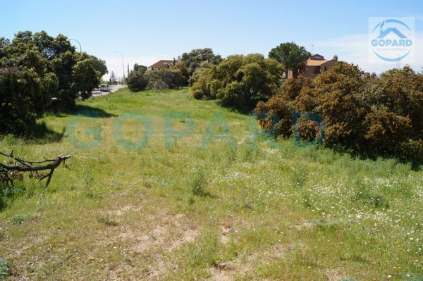 Terreno en venta en Urb. El Bosque, El Bosque